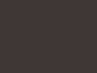 Dark Brown RAL8019