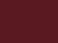 Dark Red RAL3005