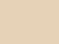 Ivory RAL1015