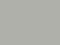 Light Grey RAL7038